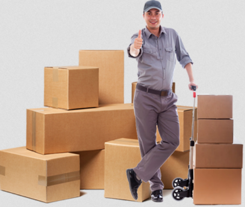 Best Packers and Movers Service Provider in Ahmedabad, Gujarat 